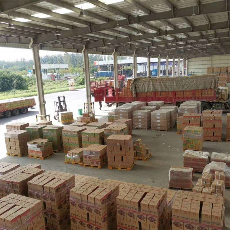 宜良县吉阳区物流：多元服务与运输线路探秘