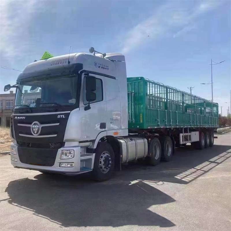 宜良县探寻小店区物流专线的多元运输奥秘